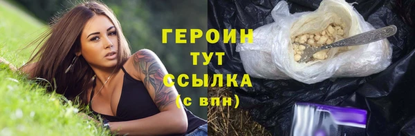 spice Богородицк