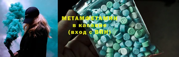сатива Беломорск