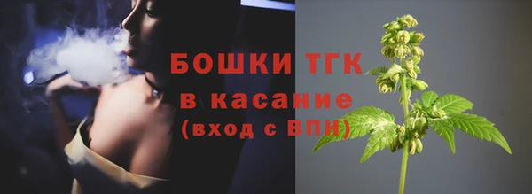 прущий лед Богданович