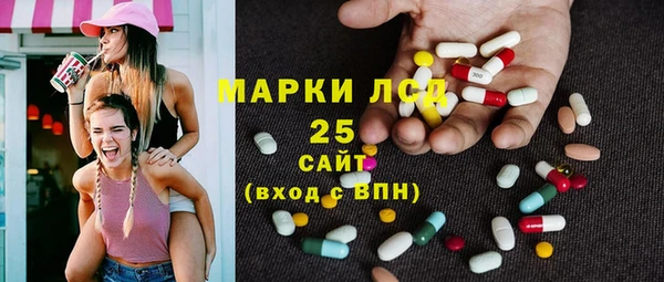 прущий лед Богданович
