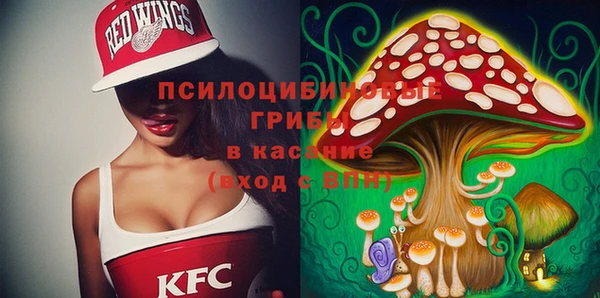 сатива Беломорск
