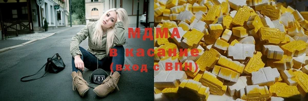 spice Богородицк