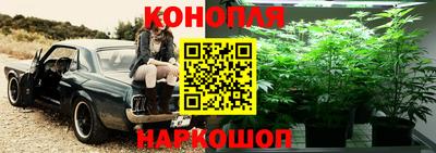 спайс Северобайкальск
