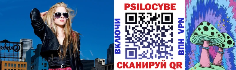 где купить   Наро-Фоминск  Псилоцибиновые грибы MAGIC MUSHROOMS 
