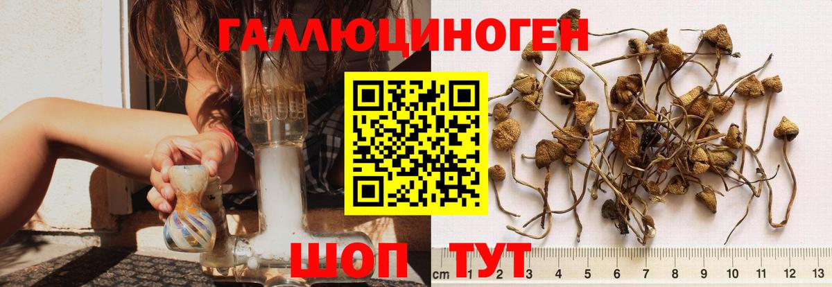 Псилоцибиновые грибы мицелий Наро-Фоминск