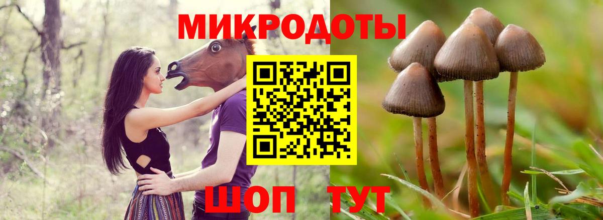 Псилоцибиновые грибы GOLDEN TEACHER  Вход с VPN  Галлюциногенные грибы ЛСД  Наро-Фоминск 